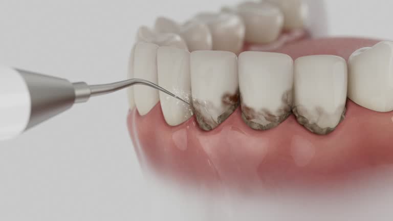 Reliable Dental contractor in Lamesa, TX by Dentist Open Now